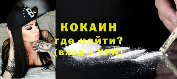 гашик Алексеевка