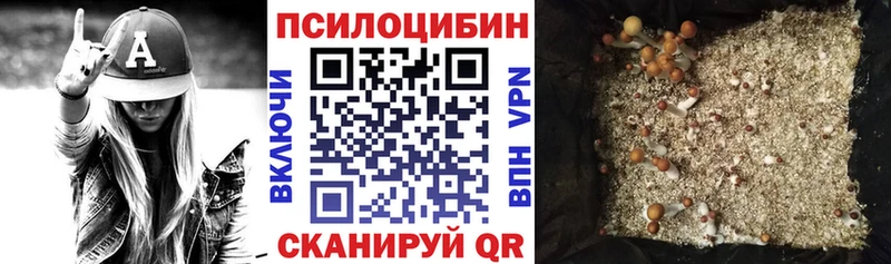 Галлюциногенные грибы Cubensis  где продают   Нестеровская 